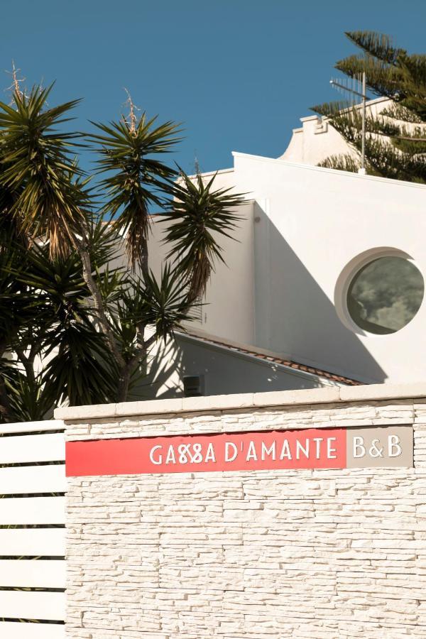 B&B Gassa D'Amante 비에스테 외부 사진