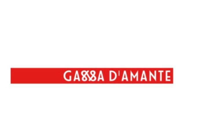 B&B Gassa D'Amante 비에스테 외부 사진